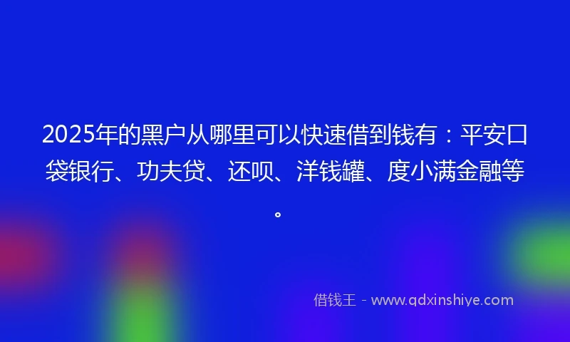 2025年的黑户从哪里可以快速借到钱有：平安口袋银行、功夫贷、还呗、洋钱罐、度小满金融等。