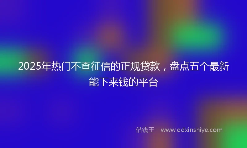 2025年热门不查征信的正规贷款，盘点五个最新能下来钱的平台