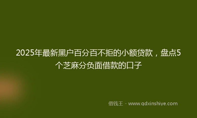 2025年最新黑户百分百不拒的小额贷款，盘点5个芝麻分负面借款的口子