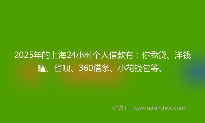 2025年的上海24小时个人借款有：你我贷、洋钱罐、省呗、360借条、小花钱包等。