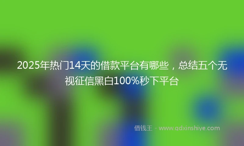 2025年热门14天的借款平台有哪些，总结五个无视征信黑白100%秒下平台