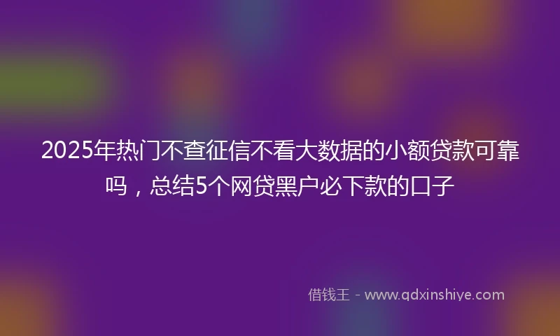 2025年热门不查征信不看大数据的小额贷款可靠吗，总结5个网贷黑户必下款的口子
