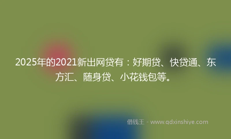 2025年的2021新出网贷有：好期贷、快贷通、东方汇、随身贷、小花钱包等。