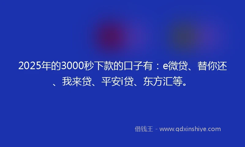 2025年的3000秒下款的口子有：e微贷、替你还、我来贷、平安i贷、东方汇等。