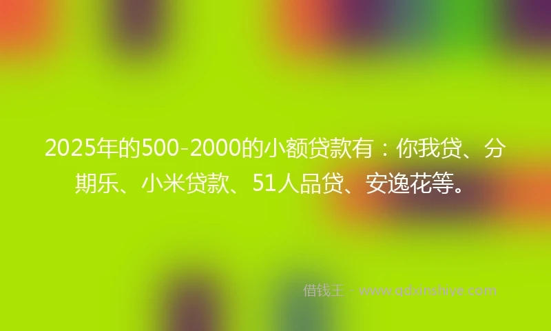 2025年的500-2000的小额贷款有：你我贷、分期乐、小米贷款、51人品贷、安逸花等。