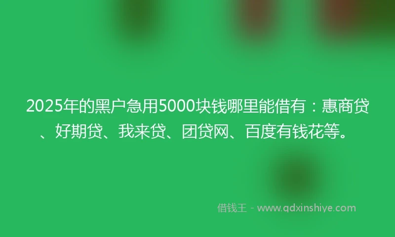 2025年的黑户急用5000块钱哪里能借有：惠商贷、好期贷、我来贷、团贷网、百度有钱花等。