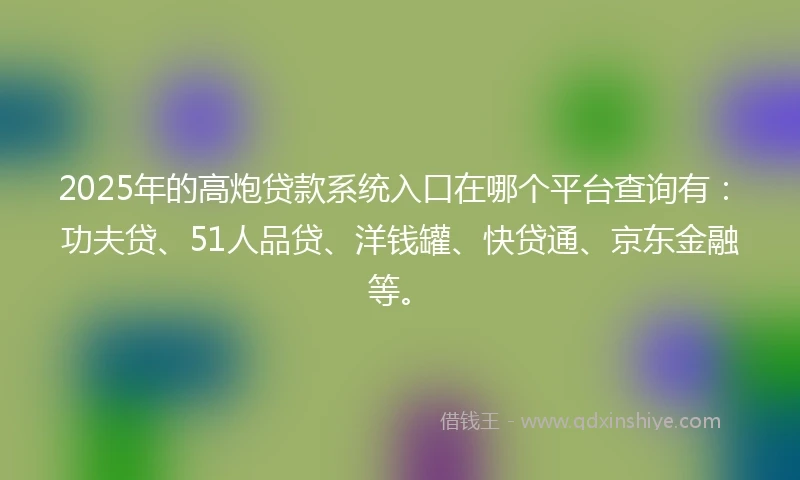 2025年的高炮贷款系统入口在哪个平台查询有：功夫贷、51人品贷、洋钱罐、快贷通、京东金融等。