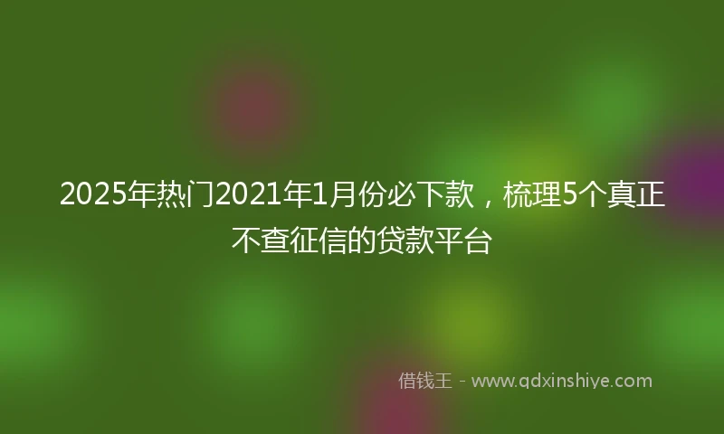 2025年热门2021年1月份必下款，梳理5个真正不查征信的贷款平台