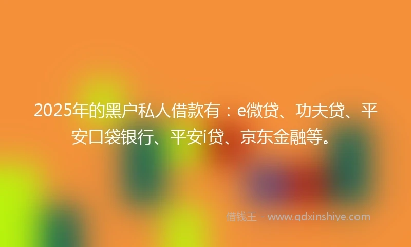 2025年的黑户私人借款有：e微贷、功夫贷、平安口袋银行、平安i贷、京东金融等。