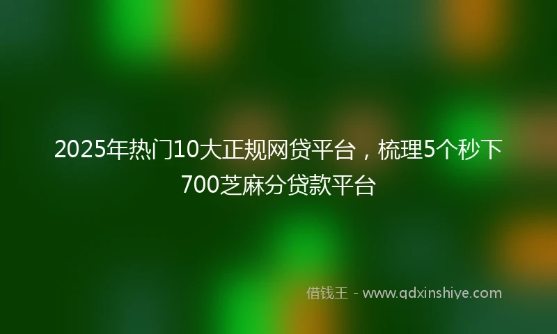2025年热门10大正规网贷平台，梳理5个秒下700芝麻分贷款平台