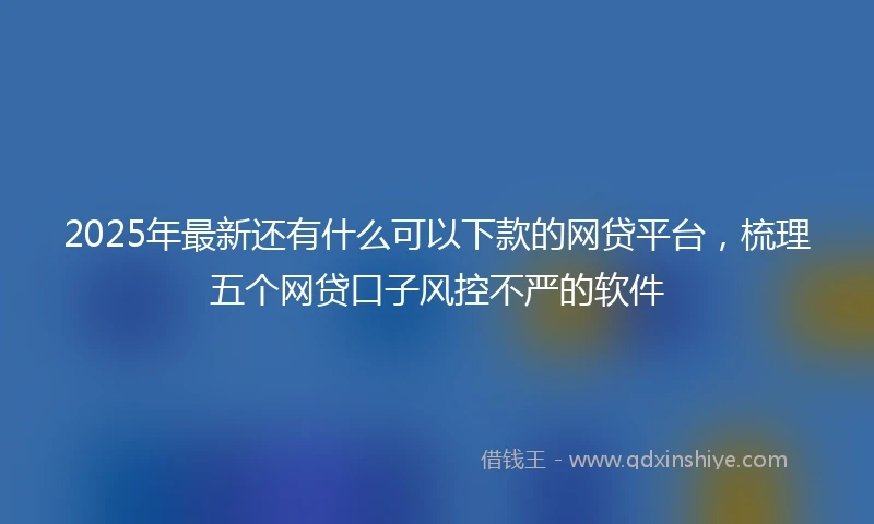 2025年最新还有什么可以下款的网贷平台，梳理五个网贷口子风控不严的软件