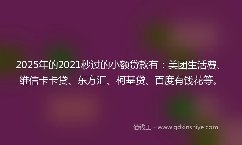 2025年的2021秒过的小额贷款有：美团生活费、维信卡卡贷、东方汇、柯基贷、百度有钱花等。