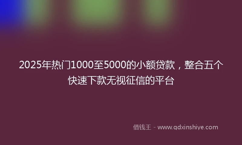 2025年热门1000至5000的小额贷款，整合五个快速下款无视征信的平台