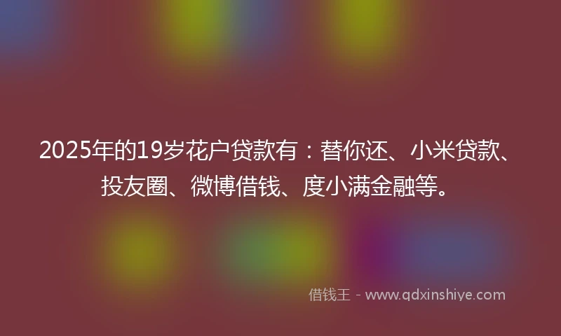 2025年的19岁花户贷款有：替你还、小米贷款、投友圈、微博借钱、度小满金融等。