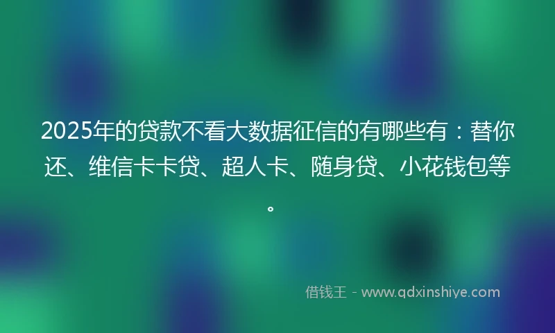 2025年的贷款不看大数据征信的有哪些有：替你还、维信卡卡贷、超人卡、随身贷、小花钱包等。