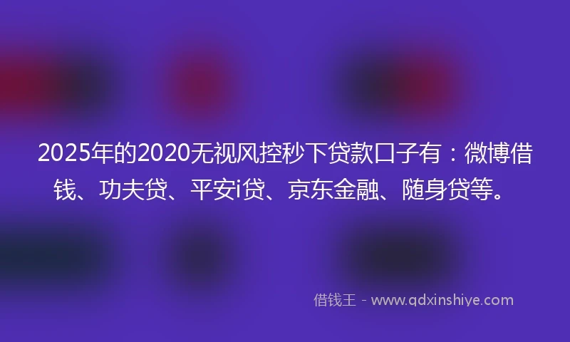2025年的2020无视风控秒下贷款口子有：微博借钱、功夫贷、平安i贷、京东金融、随身贷等。
