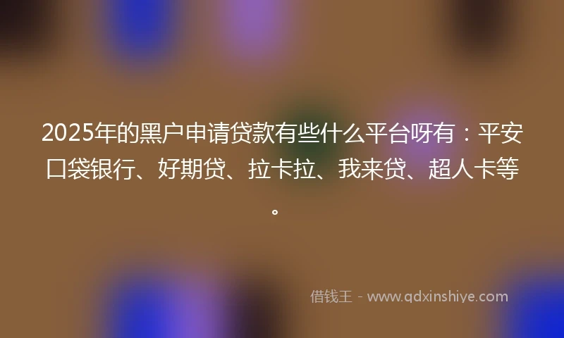 2025年的黑户申请贷款有些什么平台呀有：平安口袋银行、好期贷、拉卡拉、我来贷、超人卡等。
