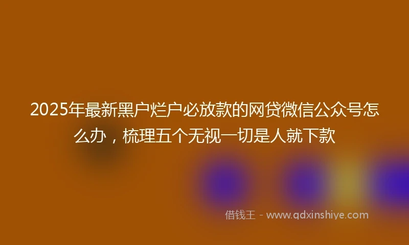 2025年最新黑户烂户必放款的网贷微信公众号怎么办，梳理五个无视一切是人就下款