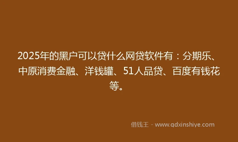 2025年的黑户可以贷什么网贷软件有：分期乐、中原消费金融、洋钱罐、51人品贷、百度有钱花等。