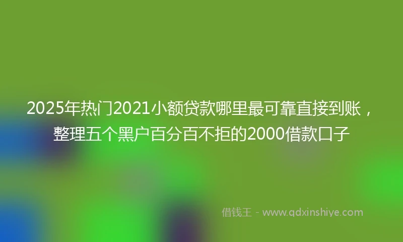 2025年热门2021小额贷款哪里最可靠直接到账，整理五个黑户百分百不拒的2000借款口子