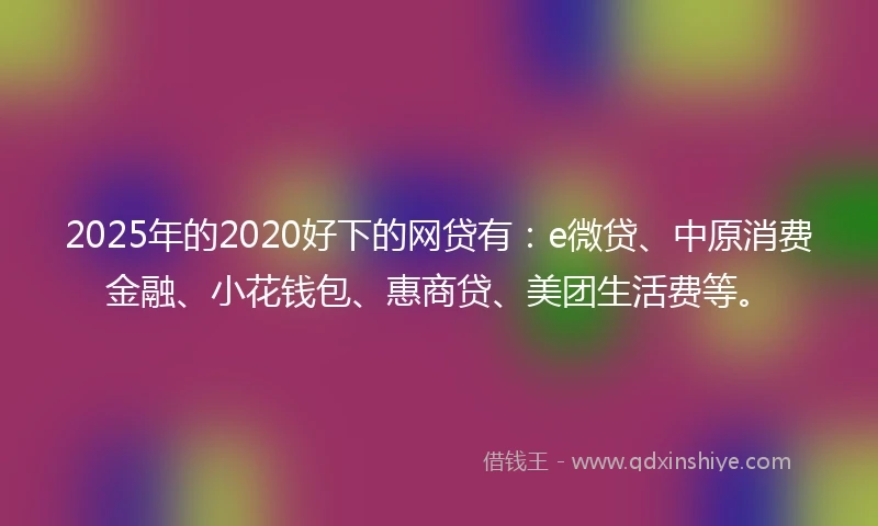 2025年的2020好下的网贷有：e微贷、中原消费金融、小花钱包、惠商贷、美团生活费等。