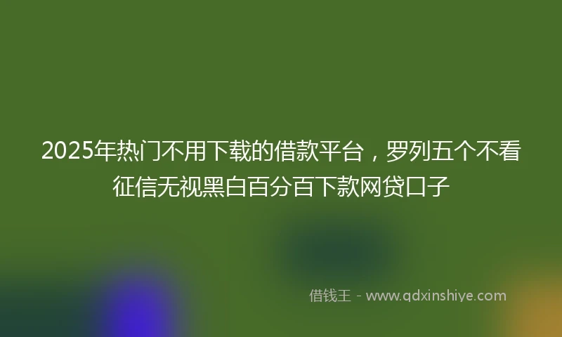 2025年热门不用下载的借款平台，罗列五个不看征信无视黑白百分百下款网贷口子