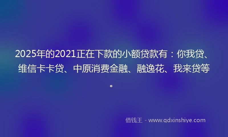 2025年的2021正在下款的小额贷款有：你我贷、维信卡卡贷、中原消费金融、融逸花、我来贷等。