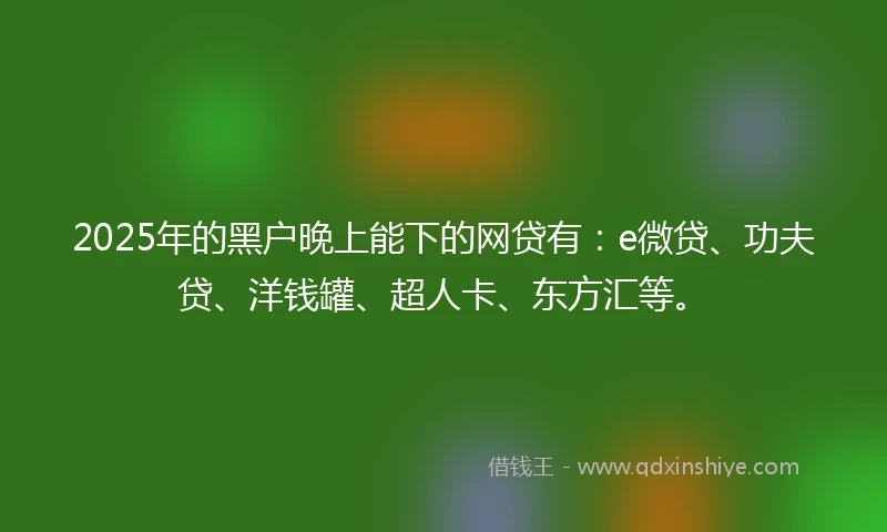 2025年的黑户晚上能下的网贷有：e微贷、功夫贷、洋钱罐、超人卡、东方汇等。