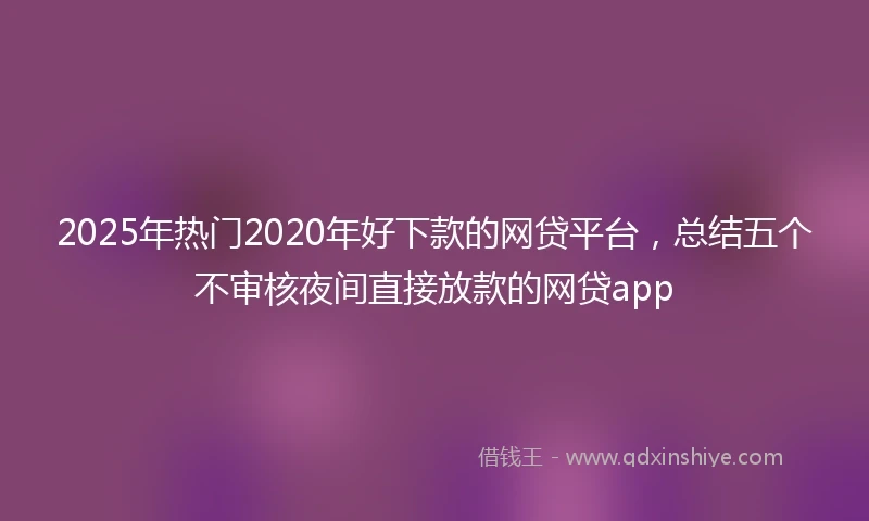 2025年热门2020年好下款的网贷平台，总结五个不审核夜间直接放款的网贷app