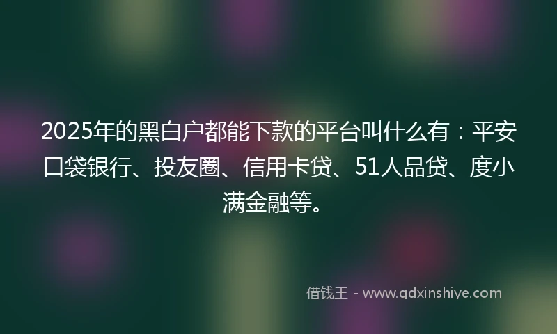 2025年的黑白户都能下款的平台叫什么有：平安口袋银行、投友圈、信用卡贷、51人品贷、度小满金融等。