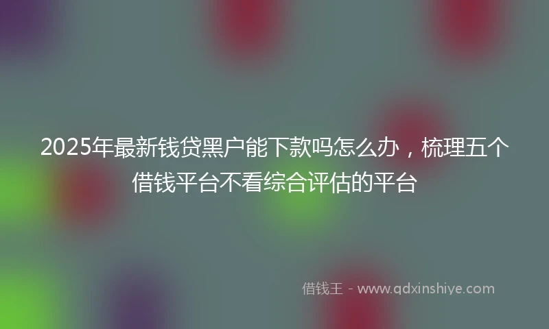 2025年最新钱贷黑户能下款吗怎么办，梳理五个借钱平台不看综合评估的平台