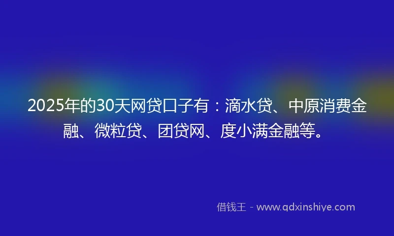 2025年的30天网贷口子有：滴水贷、中原消费金融、微粒贷、团贷网、度小满金融等。