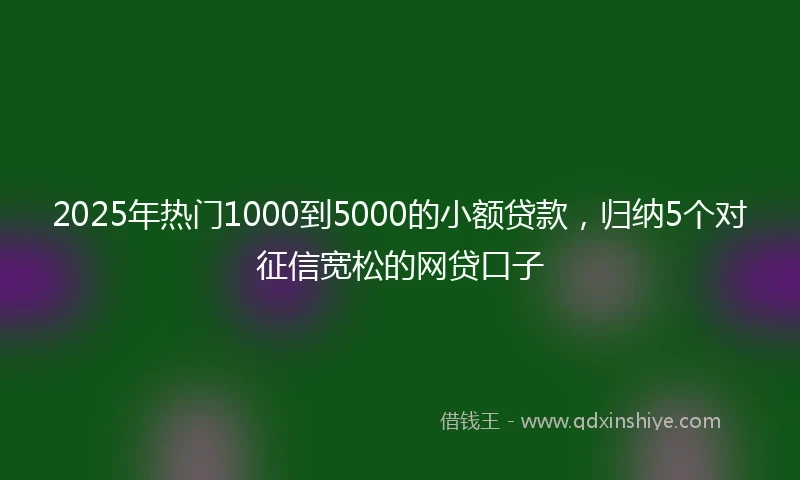 2025年热门1000到5000的小额贷款，归纳5个对征信宽松的网贷口子