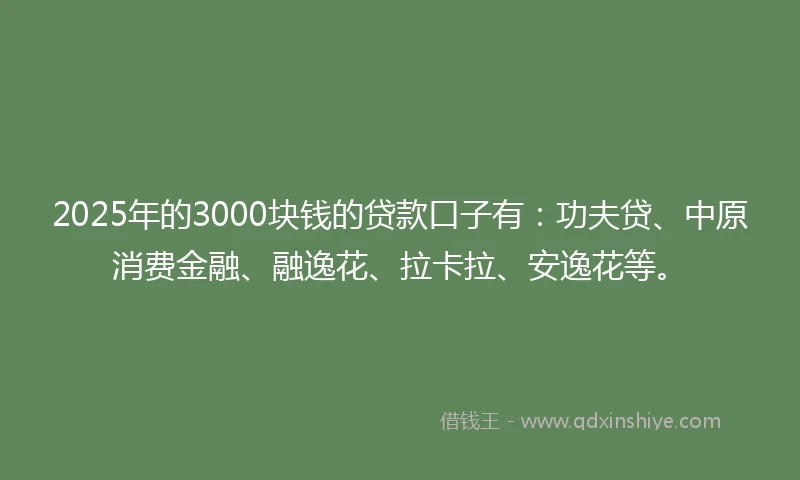 2025年的3000块钱的贷款口子有：功夫贷、中原消费金融、融逸花、拉卡拉、安逸花等。