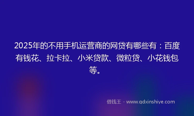 2025年的不用手机运营商的网贷有哪些有：百度有钱花、拉卡拉、小米贷款、微粒贷、小花钱包等。