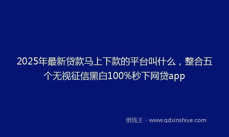 2025年最新贷款马上下款的平台叫什么，整合五个无视征信黑白100%秒下网贷app