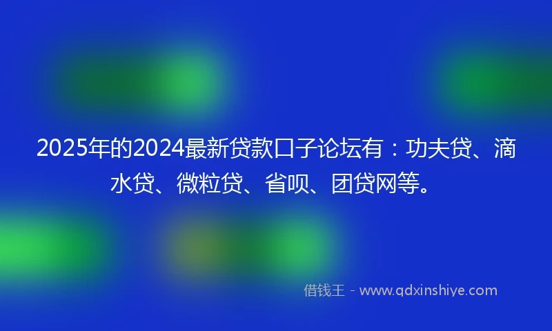 2025年的2024最新贷款口子论坛有：功夫贷、滴水贷、微粒贷、省呗、团贷网等。
