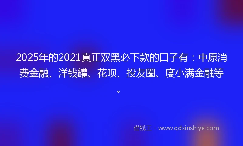 2025年的2021真正双黑必下款的口子有：中原消费金融、洋钱罐、花呗、投友圈、度小满金融等。