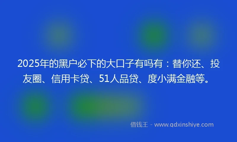 2025年的黑户必下的大口子有吗有：替你还、投友圈、信用卡贷、51人品贷、度小满金融等。