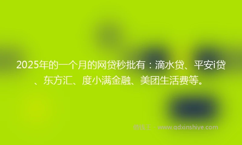 2025年的一个月的网贷秒批有：滴水贷、平安i贷、东方汇、度小满金融、美团生活费等。