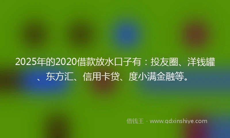 2025年的2020借款放水口子有：投友圈、洋钱罐、东方汇、信用卡贷、度小满金融等。