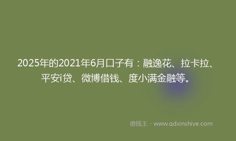 2025年的2021年6月口子有：融逸花、拉卡拉、平安i贷、微博借钱、度小满金融等。