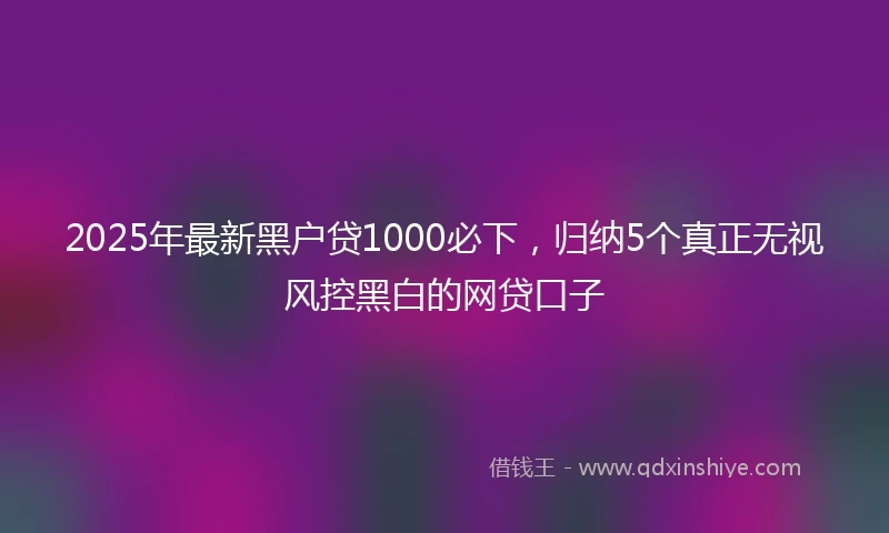 2025年最新黑户贷1000必下，归纳5个真正无视风控黑白的网贷口子