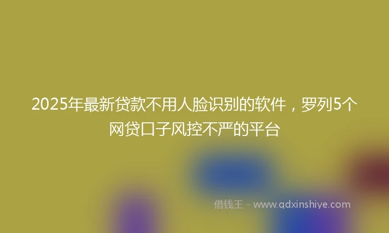 2025年最新贷款不用人脸识别的软件，罗列5个网贷口子风控不严的平台