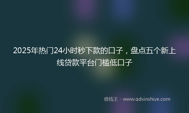 2025年热门24小时秒下款的口子，盘点五个新上线贷款平台门槛低口子