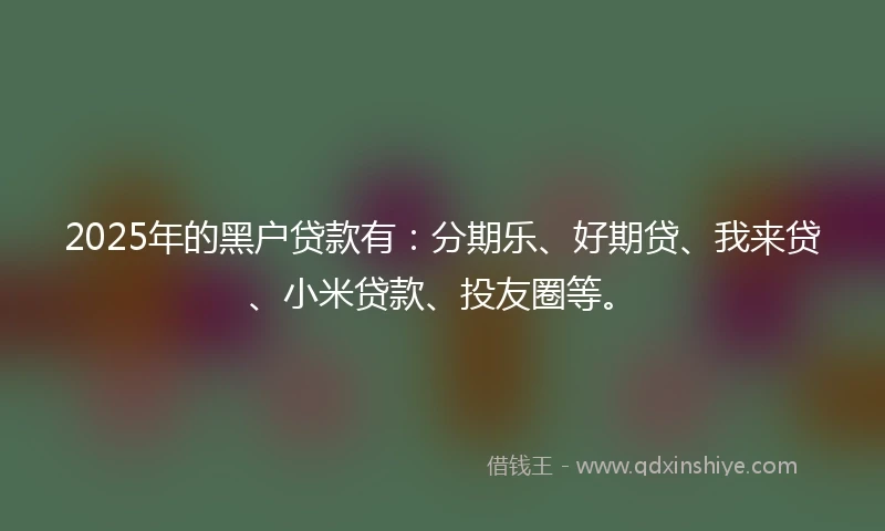 2025年的黑户贷款有：分期乐、好期贷、我来贷、小米贷款、投友圈等。