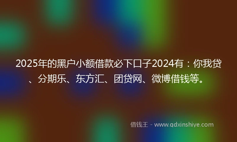 2025年的黑户小额借款必下口子2024有：你我贷、分期乐、东方汇、团贷网、微博借钱等。
