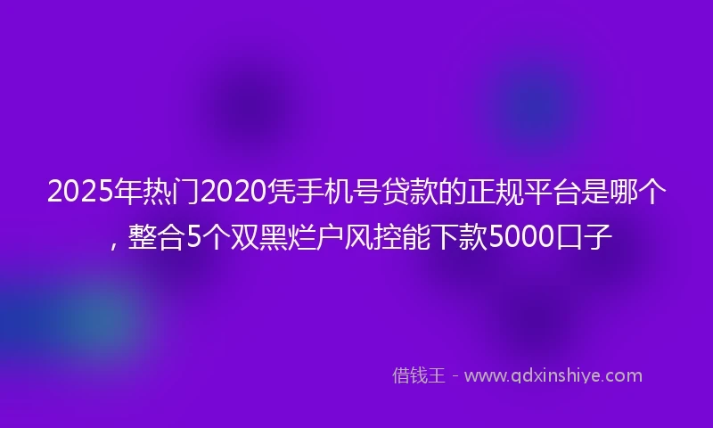 2025年热门2020凭手机号贷款的正规平台是哪个，整合5个双黑烂户风控能下款5000口子