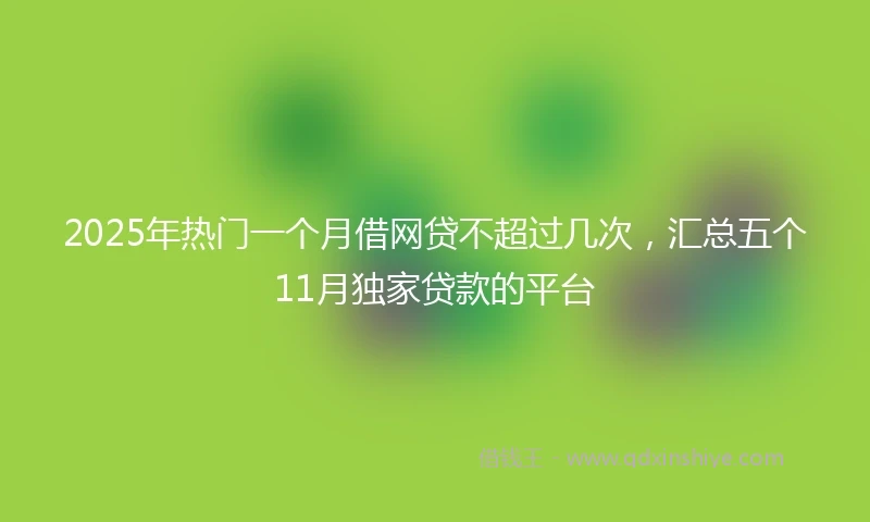 2025年热门一个月借网贷不超过几次，汇总五个11月独家贷款的平台