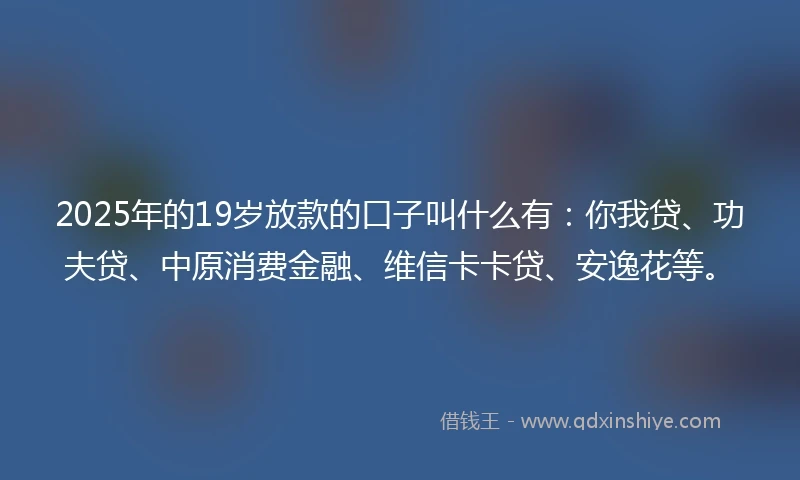 2025年的19岁放款的口子叫什么有：你我贷、功夫贷、中原消费金融、维信卡卡贷、安逸花等。